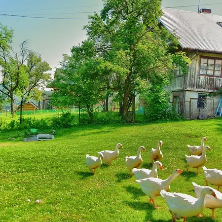 Tatil Evi U Kuliga Wisła