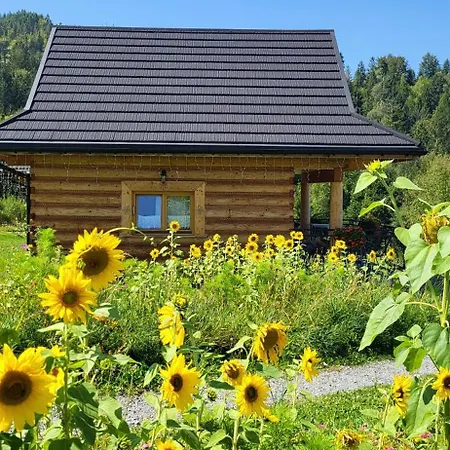 U Kuliga Tatil Evi *