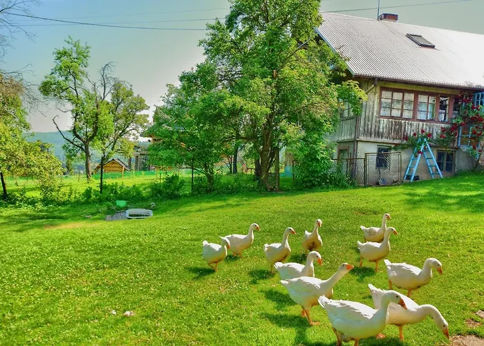 בית נופש U Kuliga, Sauna, Jacuzzi ויסלאו