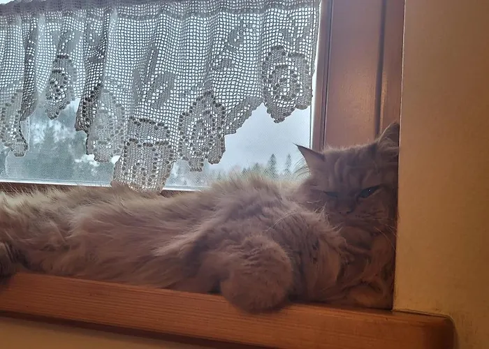 בית נופש U Kuliga, Sauna, Jacuzzi